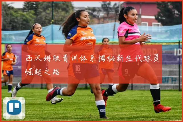 西汉姆联青训体系揭秘新生代球员崛起之路