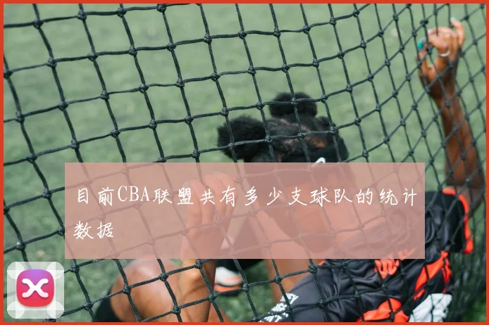 目前CBA联盟共有多少支球队的统计数据